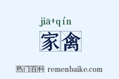 家禽是什么意思的图片